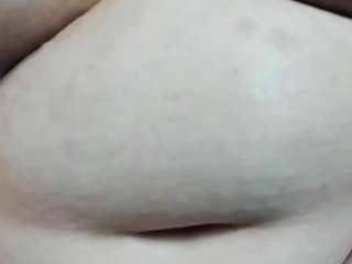Alondra-zaens