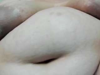 Alondra-zaens