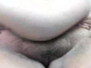 Alondra-zaens
