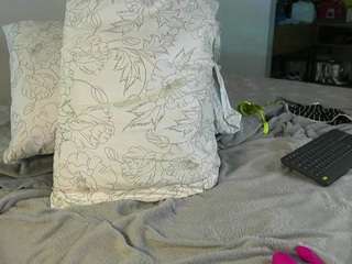 Ashlye Stone - Paula Baleta