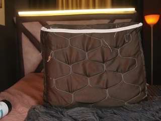 stelleknox webcam model