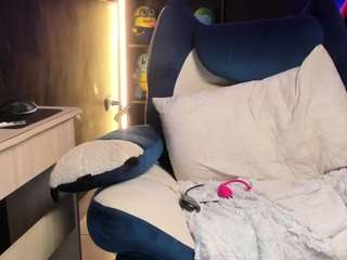 stelleknox webcam model
