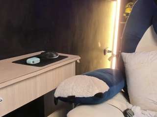 stelle live cam preview