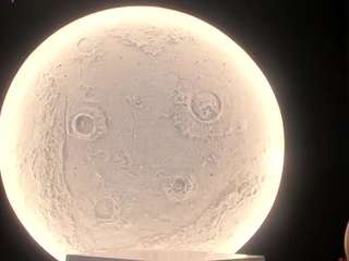 anisabinnaz