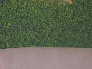 chloedee webcam model