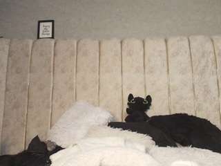 lia-thompson webcam