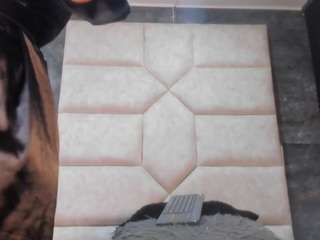 lia-thompson live cam profile