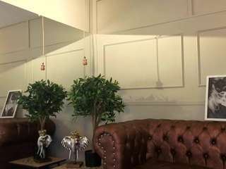 avalodge live webcam show