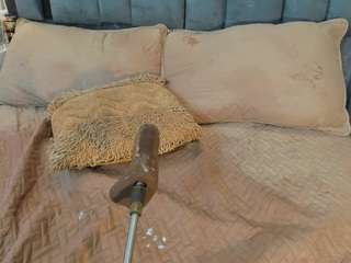 Live webcam model emily-86 on Soda Cams