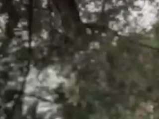 Bj, Blowjob, Butt plug, Creampie, Dildo, Dildo or vibrator, Doggy style, Fl..., Camlive Sexy 2