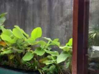 sexysagittarius1212 webcam