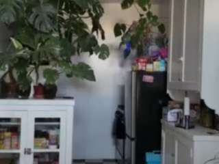 Live webcam model sexysagittarius1212 on Soda Cams