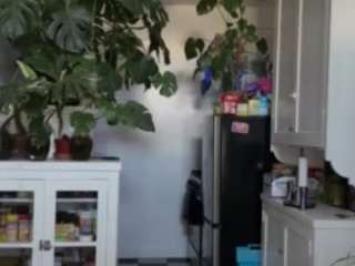 Live webcam model sexysagittarius1212 on Soda Cams