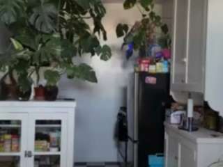 Live webcam model sexysagittarius1212 on Soda Cams