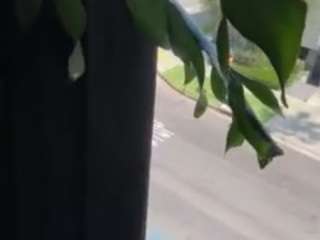 sexysagittarius1212 webcam