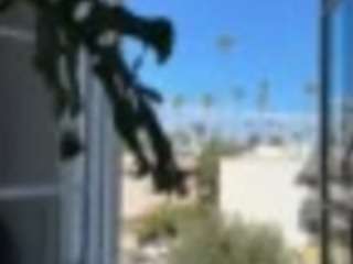 sexysagittarius1212 webcam