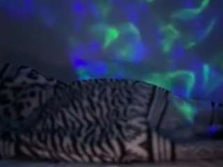 sexysagittarius1212 webcam