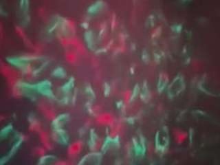 sexysagittarius1212 webcam