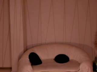 toricross webcam