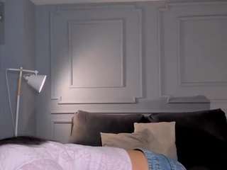 toricross webcam model