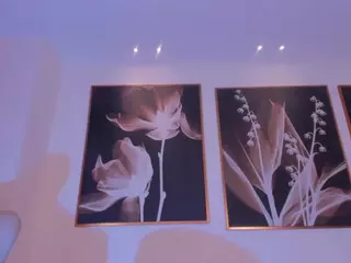 LindseyCox's Live Sex Cam Show