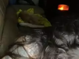 GoodGirlCelesteCat's Live Sex Cam Show