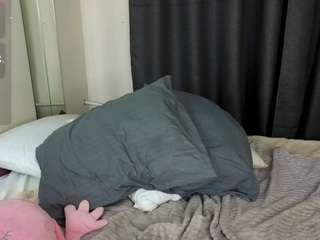 ToriCat live cam preview