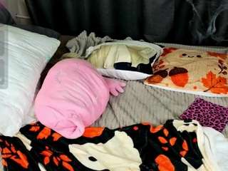 ToriCat live cam preview