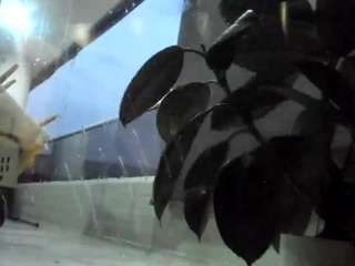 michellangels Live Webcam on CamSoda