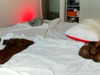 michellangels webcam