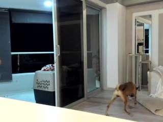 michellangels Live Webcam on CamSoda