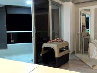 michellangels webcam