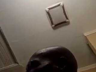 birdg0211