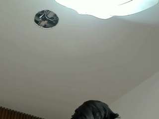 Acest model este live acum. pinkceeleste