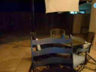 starryari69 chat