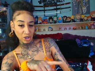 Ari The Don live cam