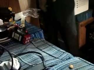  2kelley369 chat room