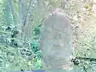 hunglow's Live Sex Cam Show