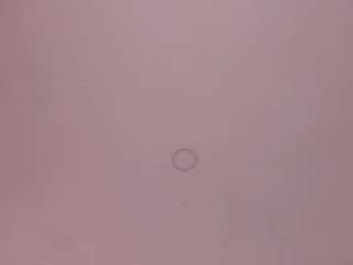 nicole-miler live webcam show