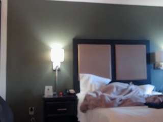 ashleyriverrss