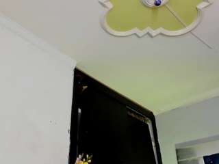 tessa-mancini webcam