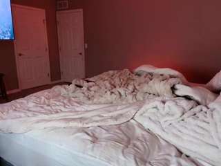 lalakoi1 Live Webcam on CamSoda