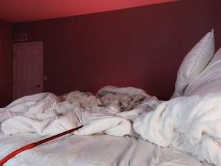 lalakoi1 Live Webcam on CamSoda