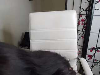 museum0fcum's CamSoda show and profile