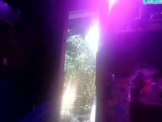 groundhogsdayburnout