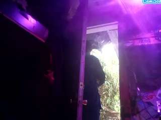 groundhogsdayburnout - Live Cam