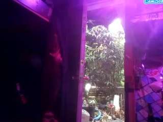 groundhogsdayburnout - Live Cam