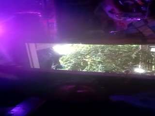 groundhogsdayburnout - Live Cam