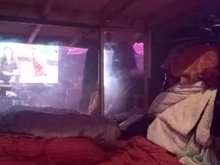 Groundhogsdayburnout