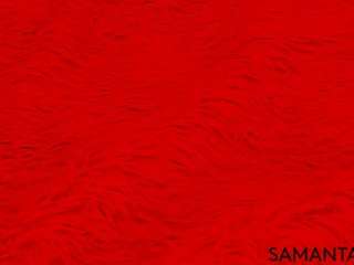 sammy